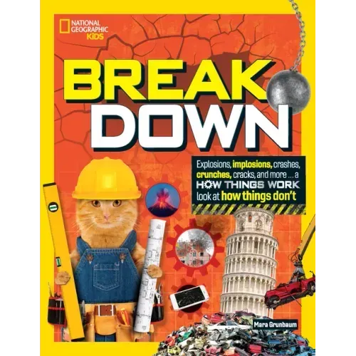Break Down: Explosions, Implosions, Crashes, Crunches, Cracks, and More ... a How Things Work Look at How Things Don't
