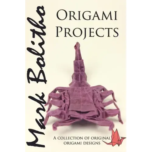 Origami Projects: A collection of original origami designs