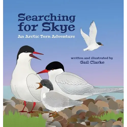Searching for Skye: An Arctic Tern Adventure