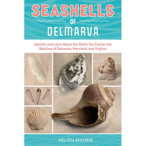 Seashells of Delmarva: Identify and Learn about the Shells You Find on the Beaches of Delaware, Maryland, and Virginia