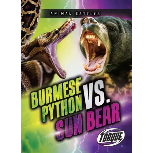 Burmese Python vs. Sun Bear