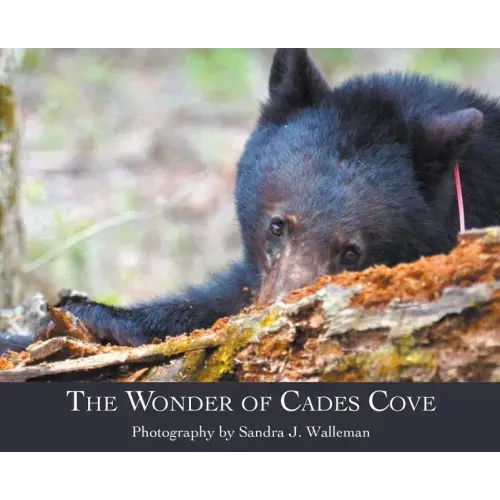 The Wonder of Cades Cove