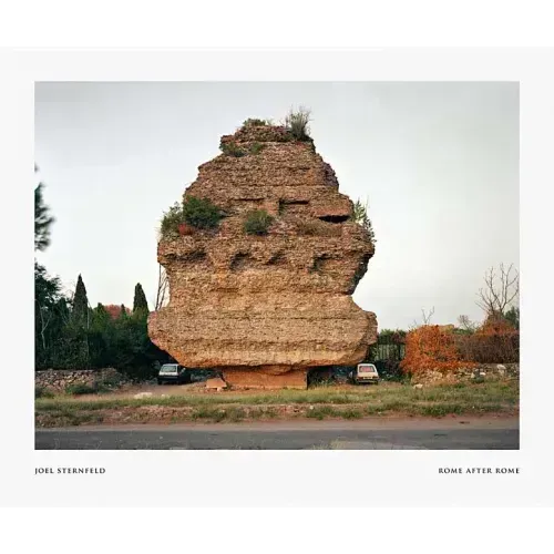 Joel Sternfeld: Rome After Rome