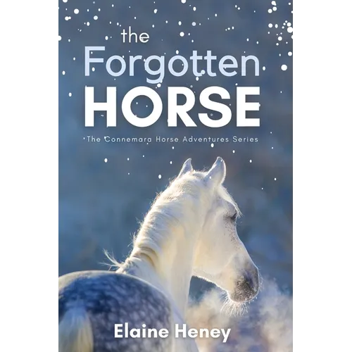 The Forgotten Horse - Book 1 in the Connemara Horse Adventure Series for Kids. The perfect gift for children age 8-12.