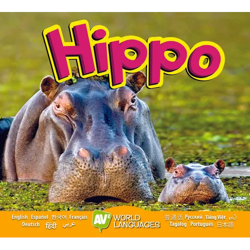 Hippo