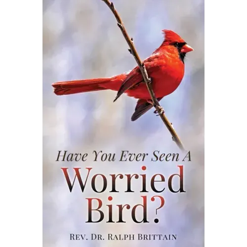 Have You Ever Seen A Worried Bird?