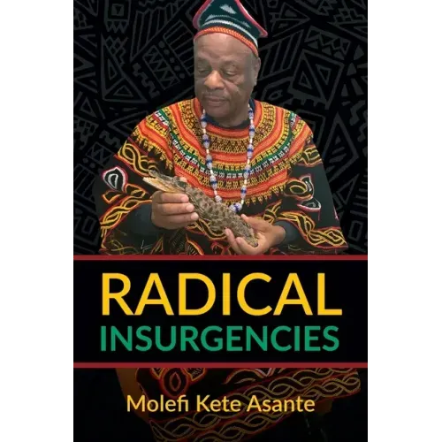 Radical Insurgencies