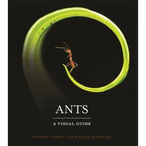 Ants: A Visual Guide