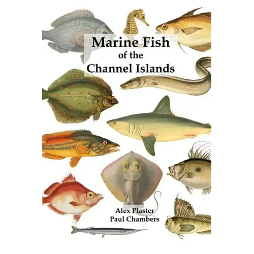 Marine Fish of the Channel Islands