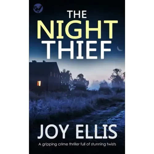 THE NIGHT THIEF a gripping crime thriller full of stunning twists