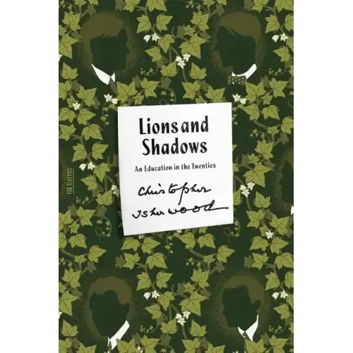 Lions and Shadows: An Education in the Twenties