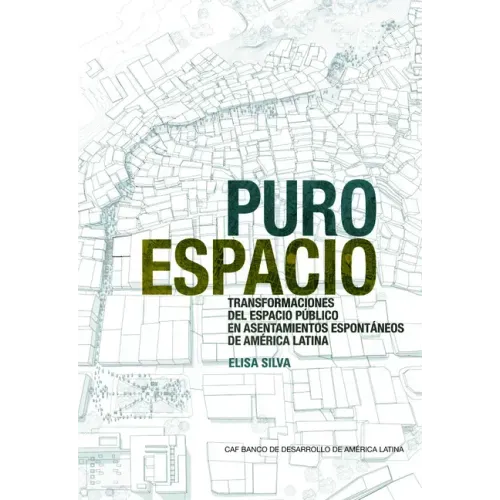 Pure Space (Spanish Edition): Expanding the Public Sphere Through Public Space Transformations in Latin American Spontaneous Settlements