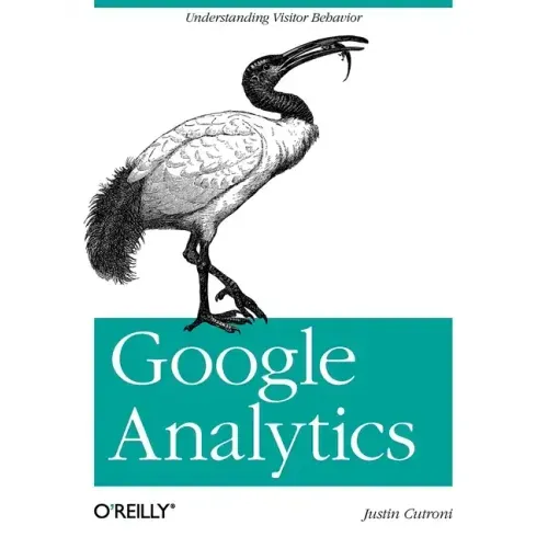 Google Analytics: Understanding Visitor Behavior