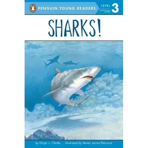 Sharks!