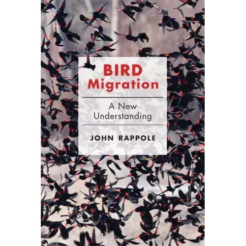 Bird Migration: A New Understanding