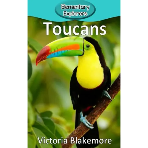 Toucans