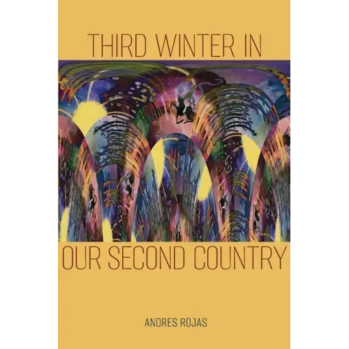 Third Winter in Our Second Country