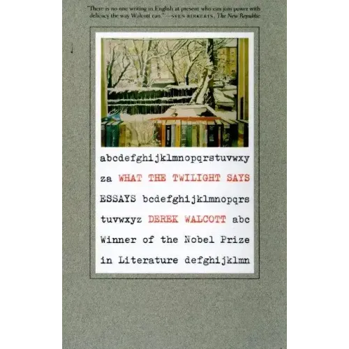 What the Twilight Says: Essays