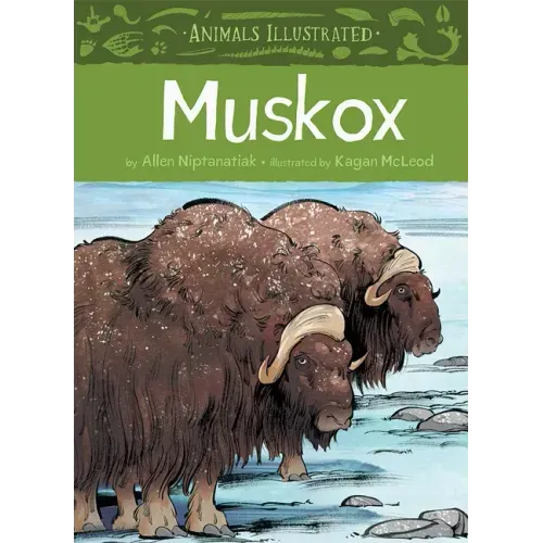 Animals Illustrated: Muskox