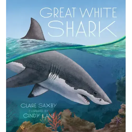 Great White Shark