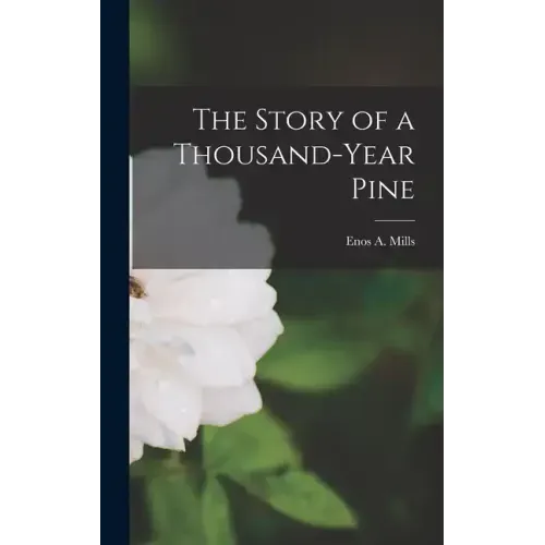 The Story of a Thousand-Year Pine
