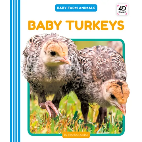 Baby Turkeys
