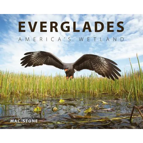 Everglades: America's Wetland