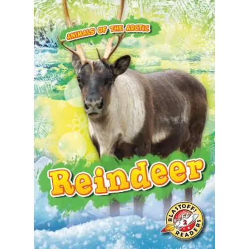 Reindeer