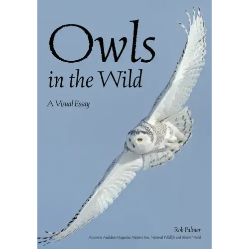 Owls in the Wild: A Visual Essay
