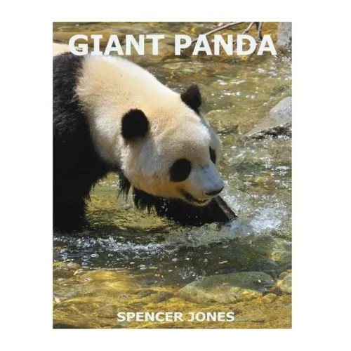 Giant Panda