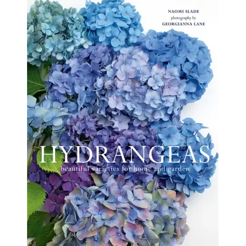 Hydrangeas: Beautiful Varieties for Home and Garden