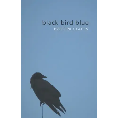black bird blue