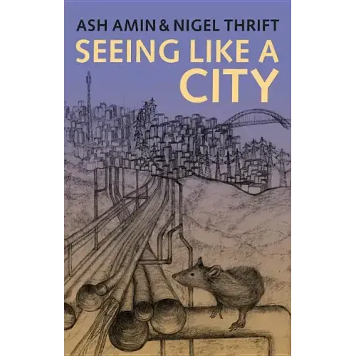 Seeing Like a City