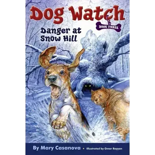 Danger at Snow Hill