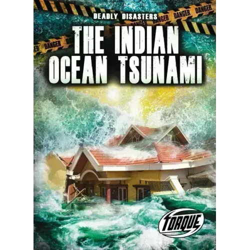 The Indian Ocean Tsunami