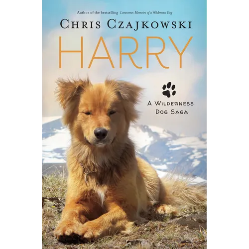 Harry: A Wilderness Dog Saga