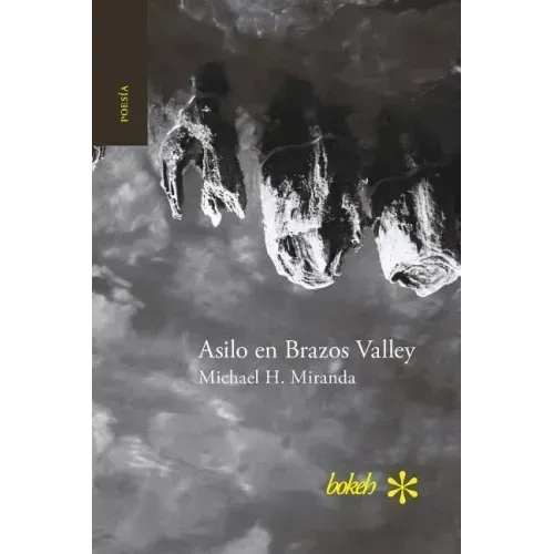 Asilo en Brazos Valley