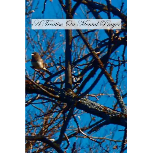 A Treatise On Mental Prayer