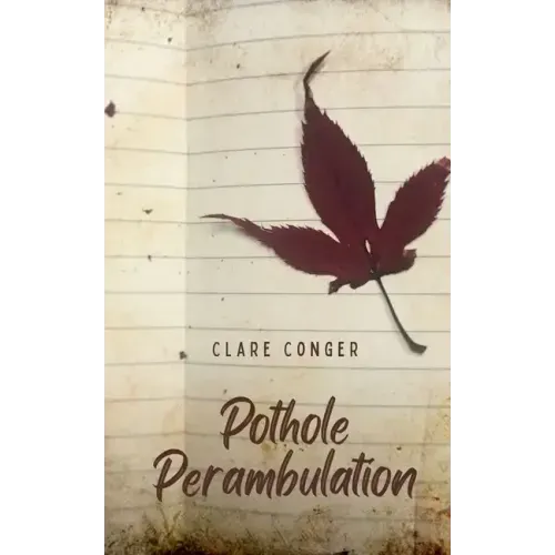Pothole Perambulation
