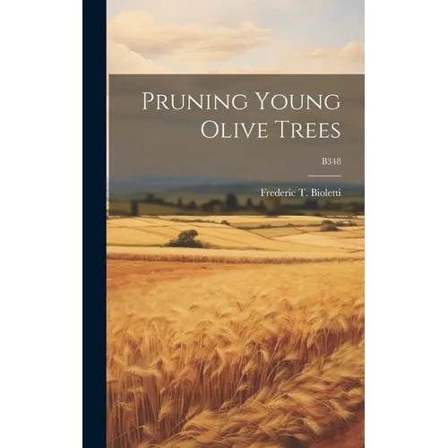 Pruning Young Olive Trees; B348