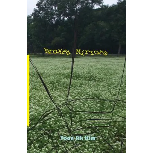 Broken Mirrors