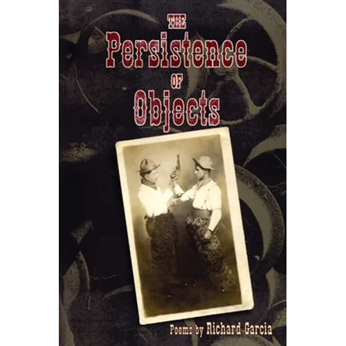 The Persistence of Objects