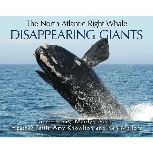 The North Atlantic Right Whale: Disappearing Giants