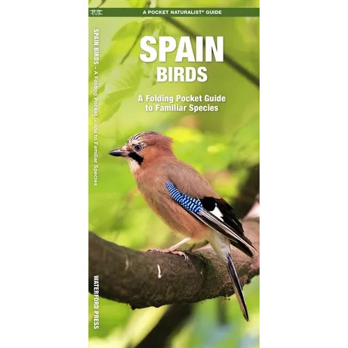 Spain Birds