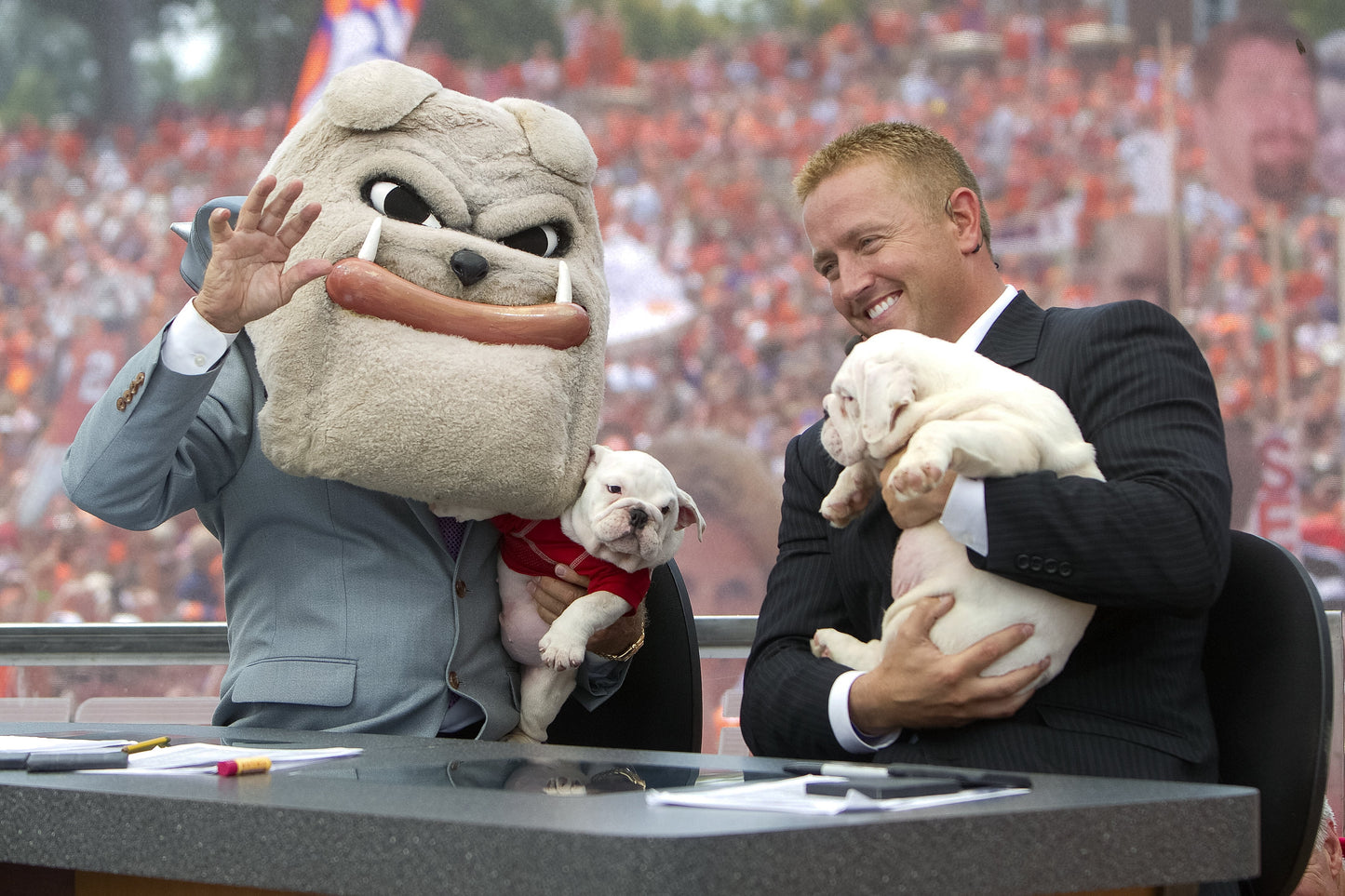 LEE CORSO: NOT SO FAST, MY FRIEND: A tribute to the soul of college football Book