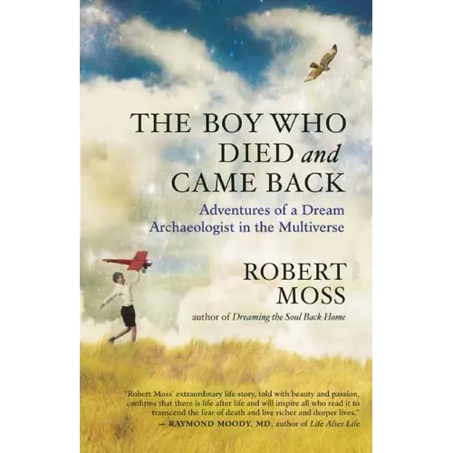 The Boy Who Died and Came Back: Adventures of a Dream Archaeologist in the Multiverse