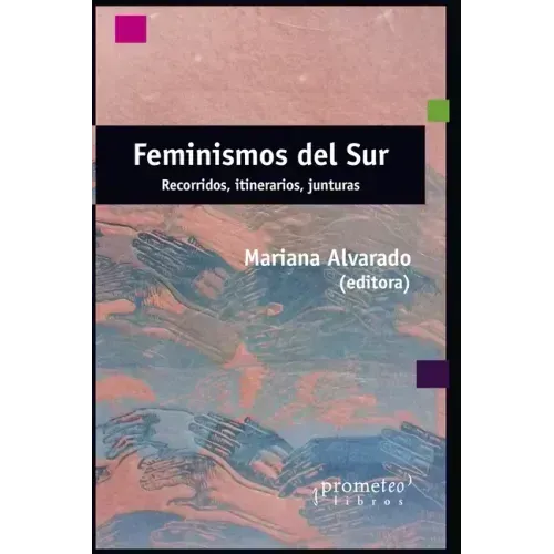 Feminismos del sur: Recorridos, itinerarios, junturas