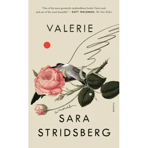 Valerie: Or, the Faculty of Dreams: A Novel