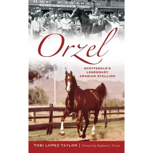 Orzel: Scottsdale's Legendary Arabian Stallion