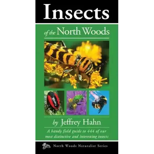 Insects of the North Woods